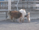 IMG_5045.jpg