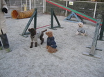 IMG_5057.jpg