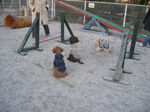 IMG_5060.jpg