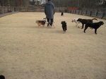 IMG_5136.jpg