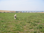 IMG_5310.jpg