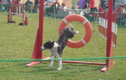 IMG_5315.jpg