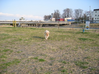 IMG_5351.jpg