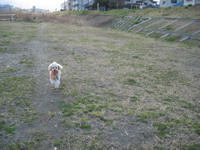 IMG_5353.jpg
