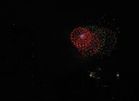IMG_5556.jpg