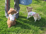 IMG_5701.jpg
