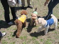 IMG_5813.jpg