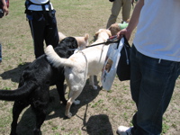 IMG_5823.jpg