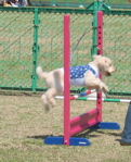 IMG_5830.jpg