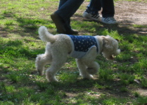 IMG_5839.jpg