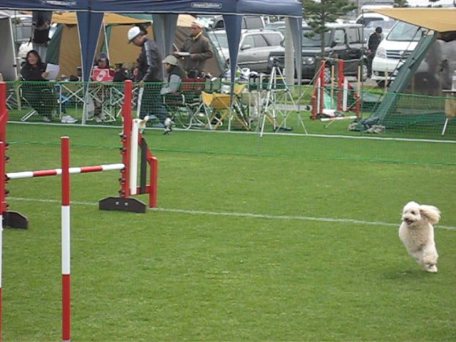 MVI_1892_0001.jpg