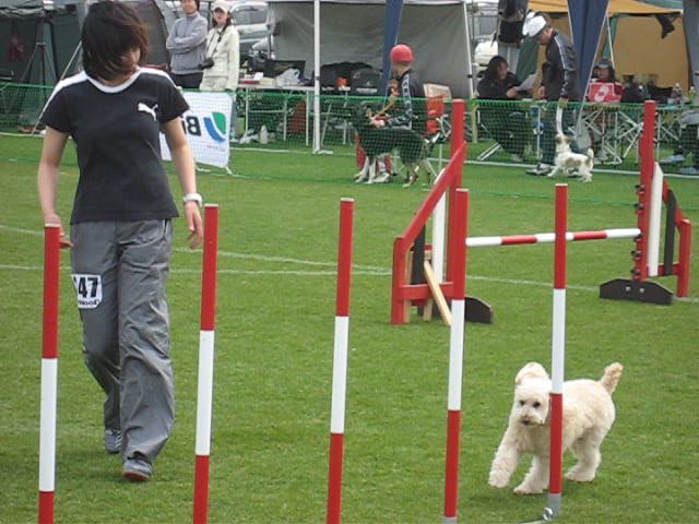 MVI_1892_0009.jpg