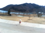 P1000118.jpg