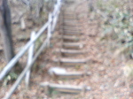 P1000124.jpg