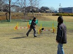P1150411.jpg