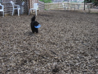 k4517.jpg