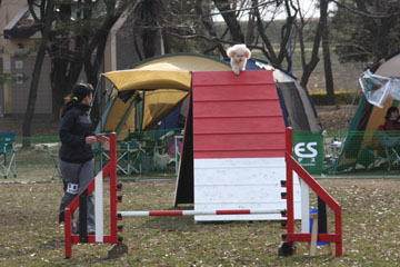 opdes080217z1.jpg