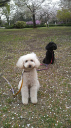 2011041810160000.jpg