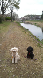 2011041810260000.jpg