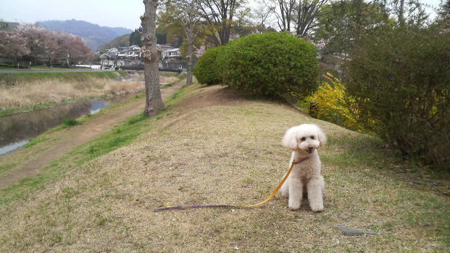 2011041810300000.jpg