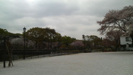 2011041810400000.jpg
